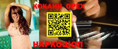 индика Кингисепп