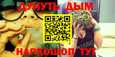 индика Кингисепп
