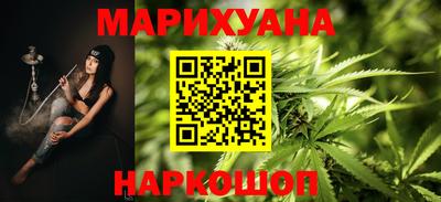 индика Кингисепп