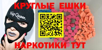 индика Кингисепп