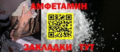 индика Кингисепп
