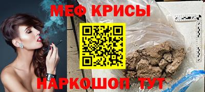 индика Кингисепп