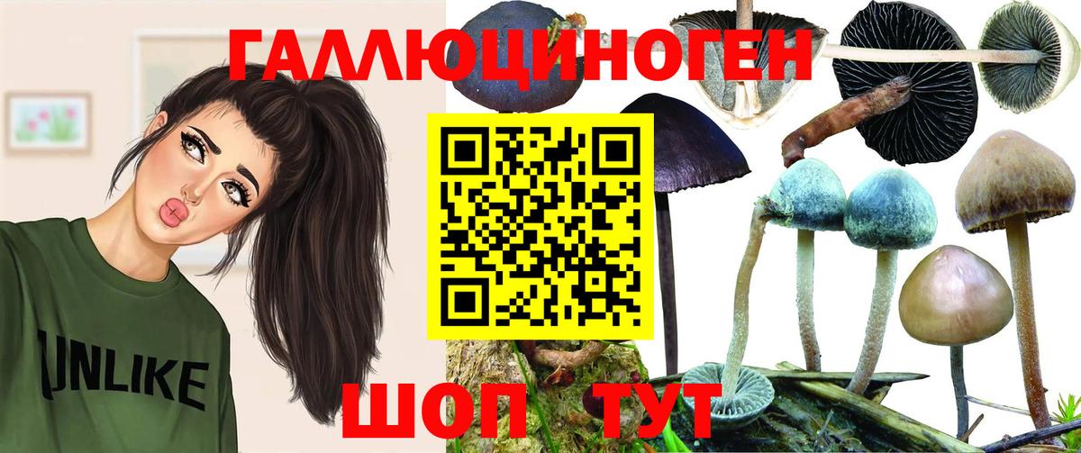 Псилоцибиновые грибы прущие грибы Лениногорск