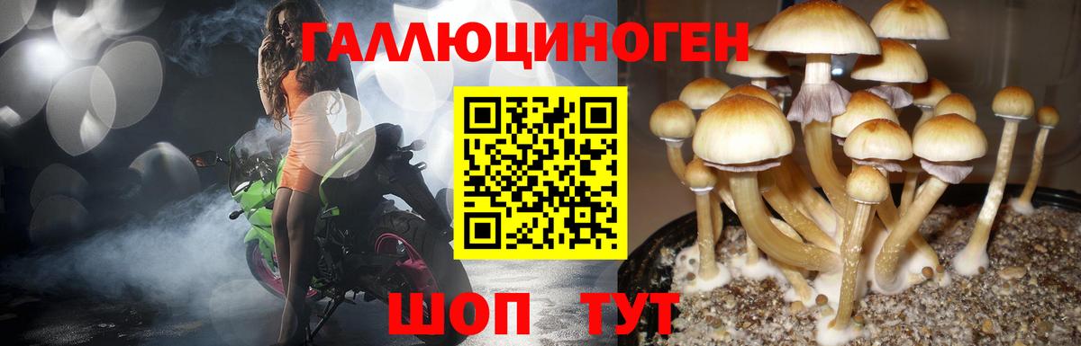 Лениногорск  где продают наркотики  Вход с VPN  Галлюциногенные грибы Magic Shrooms 